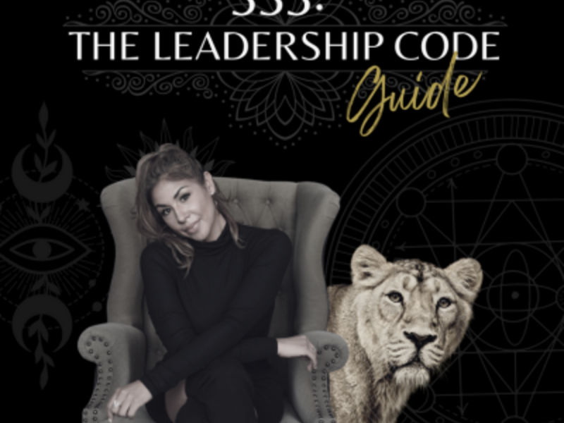 333 leadership guide (4)